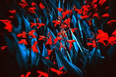 任天堂确认不会参加E3 2023