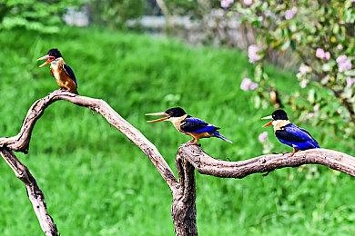 《真三国无双：起源》新截图：原创主角登场 战斗刺激